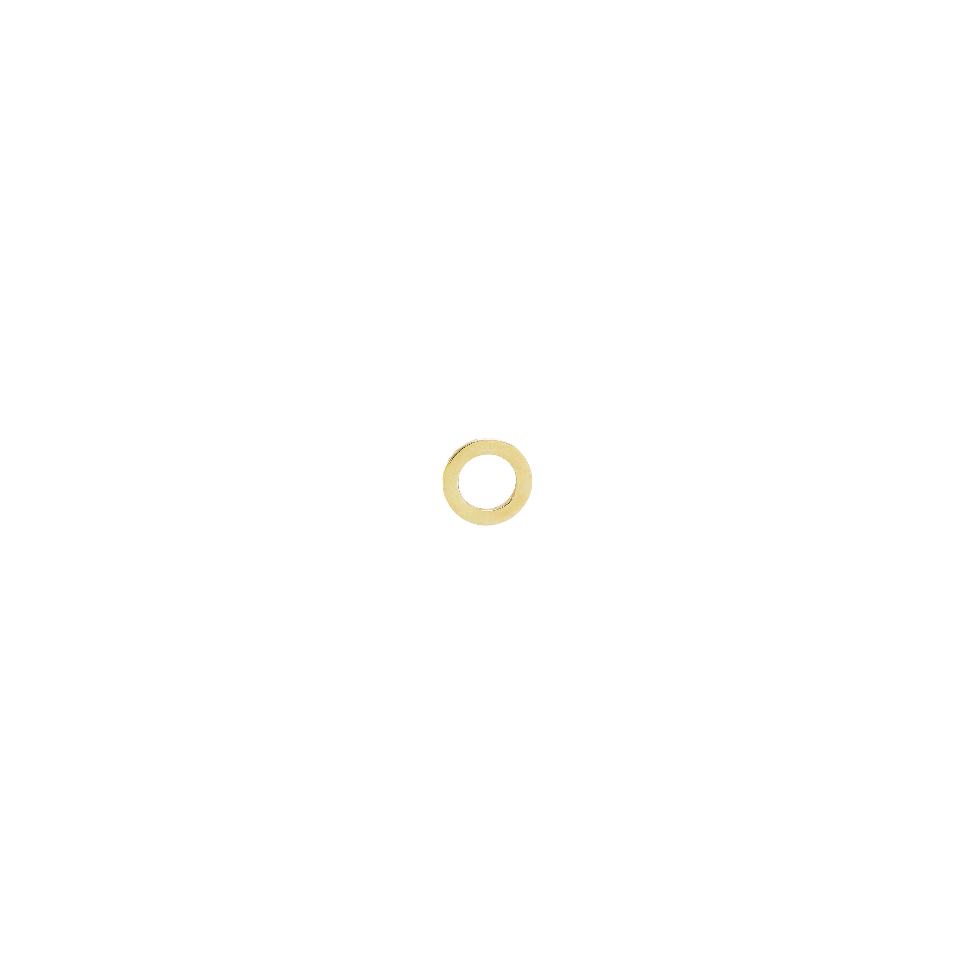 Orecchini Circle