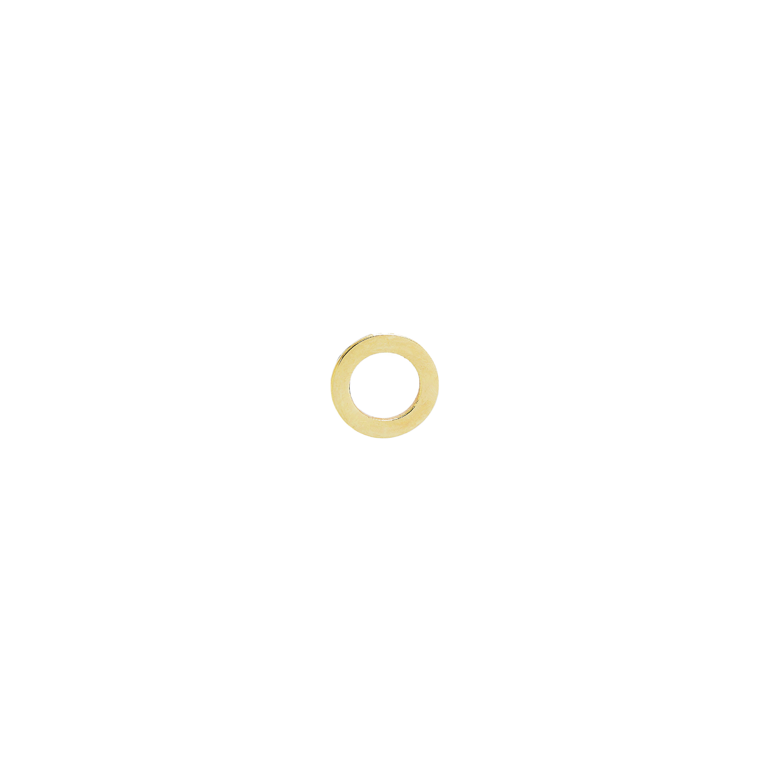 Orecchini Circle