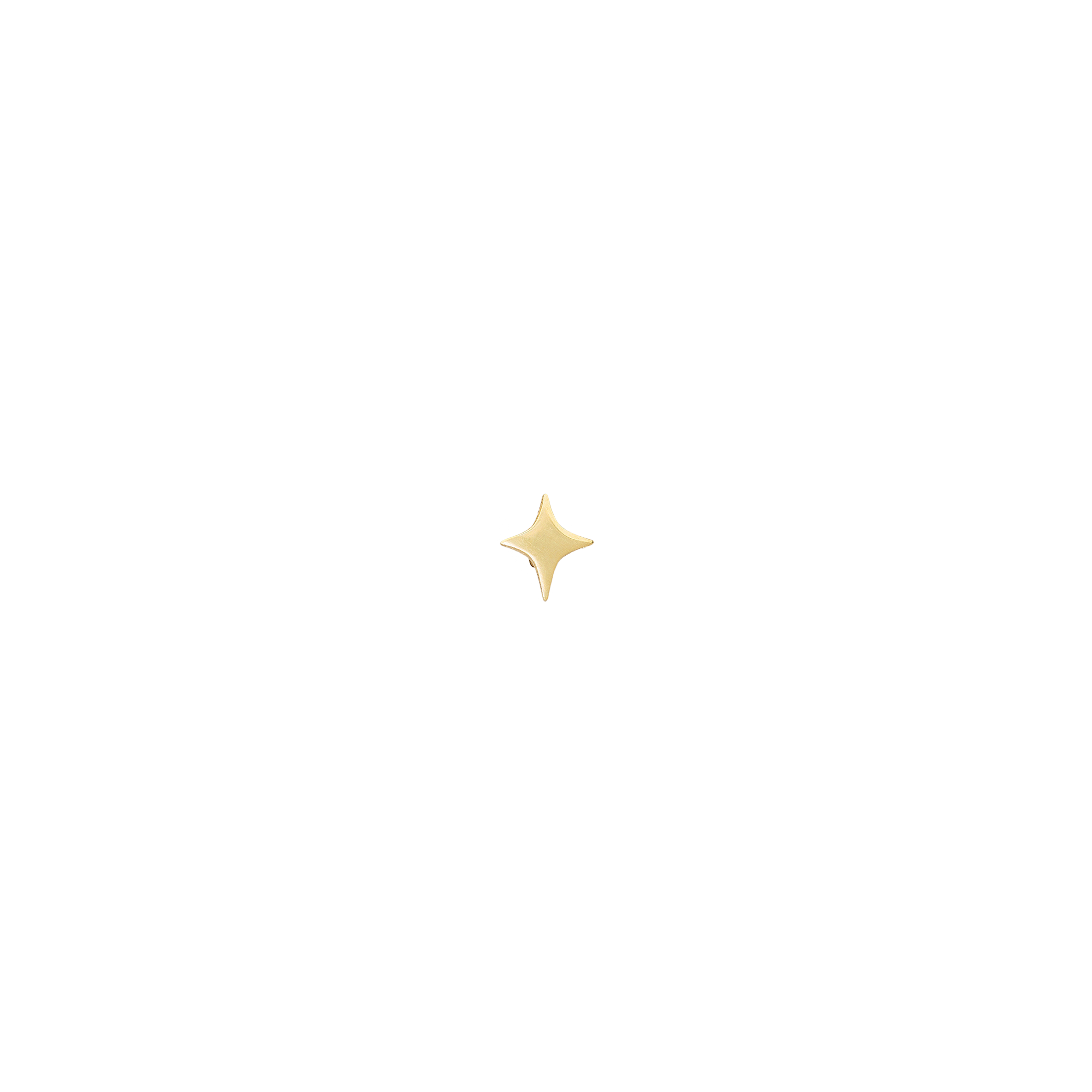 Orecchini Star