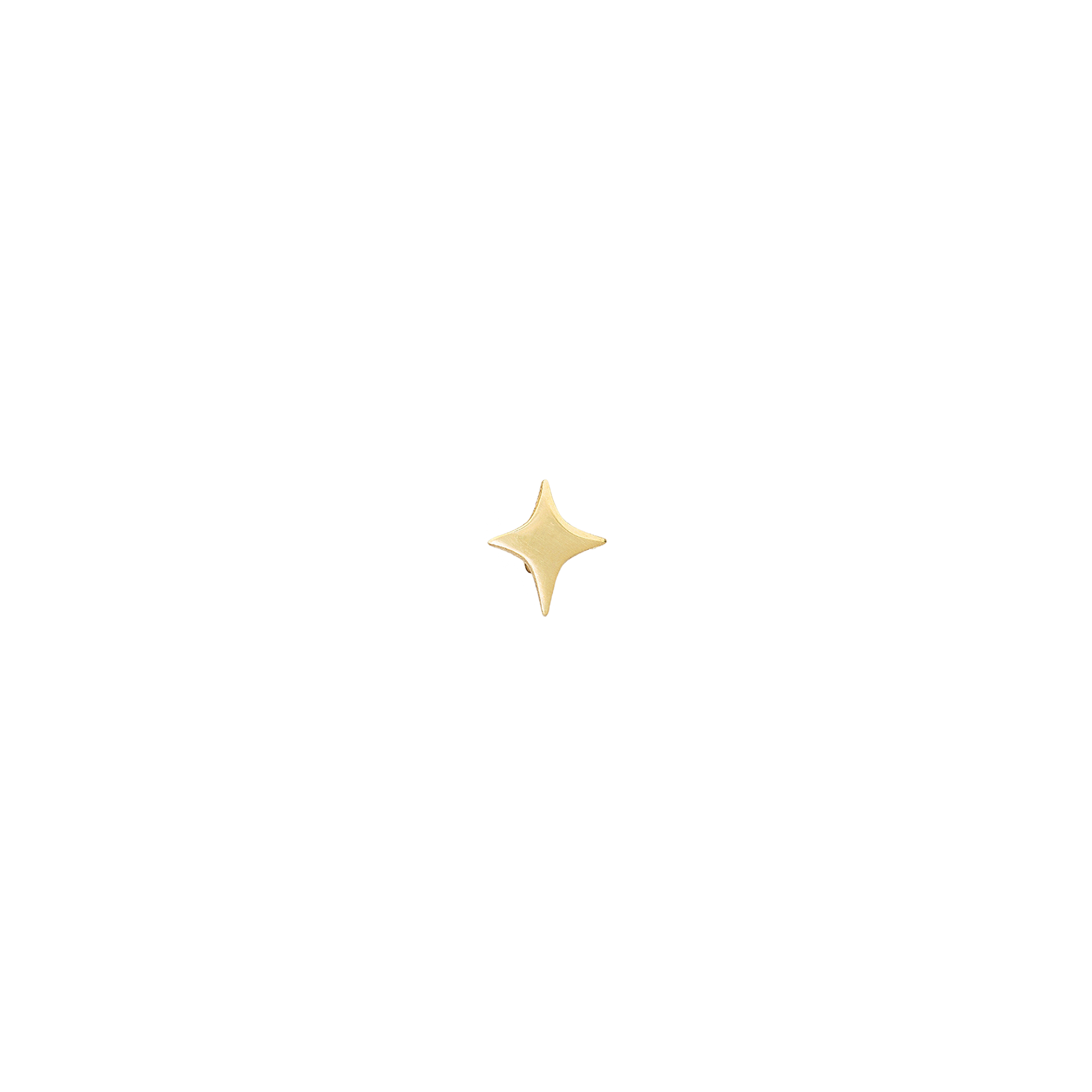Orecchini Star